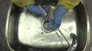 Rigid Endoscope Reprocessing  Cleaning amp Rinsing [upl. by Leeke]