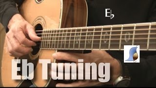 E flat tuning 12 step down for Guitar [upl. by Vachil]