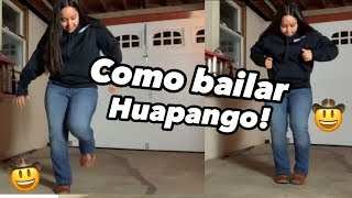 How to dance Huapango [upl. by Gothurd130]