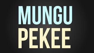 Nyashinski  Mungu Pekee Official Lyric Video [upl. by Aicrag734]