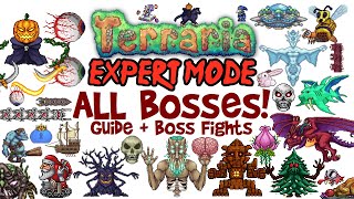 ALL OF TERRARIA IN 8 MINS Terraria Progression Guide Step by Step Guide for Beginners 2020 [upl. by Spanos486]