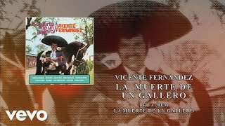 Vicente Fernández  La Muerte de un Gallero Cover Audio [upl. by Dalli]