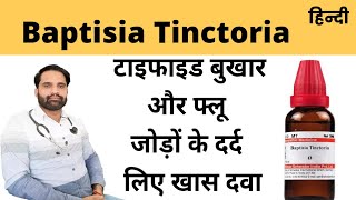 Baptisia tinctoria homeopathic medicine uses in hindi [upl. by Oibesue]