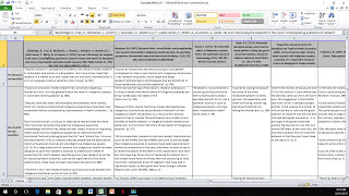 How to Create a Literature Matrix Excel [upl. by Rizzi284]