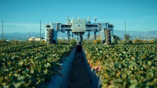 AGROBOT Robotic Strawberry Harvester [upl. by Leva405]