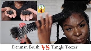 Tangle Teezer VS Denman Brush SHOOK Hair Loss Comparison4C Natural Hair [upl. by Kolb]