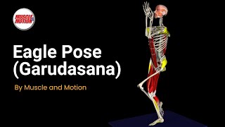 Eagle Pose Garudasana Balance amp Alignment [upl. by Dace]