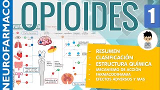 OPIOIDES ESCALERA TERAPEUTICA RESUMEN Clasificaciones Estructura Receptores Farmacología 1 [upl. by Htir]