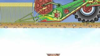 How a combine harvester works [upl. by Ikkiv]