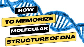 DNA structure Mnemonic technique for Exam [upl. by Duane]