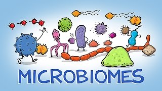 Microorganisms and Humans Commensal and Pathogenic Flora [upl. by Salomone]