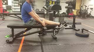 Tibialis Raise with Band or Kettlebell [upl. by Kerek]