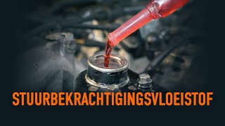 De stuurbekrachtigingsvloeistof verversen  AUTODOC tips [upl. by Jessen774]