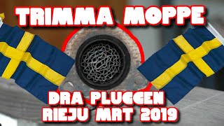 HUR MAN TRIMMAR EN RIEJU MRT 2020 [upl. by Siuraj]