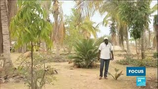 Au Sénégal Goran Ndiaye pionnier de l’agroécologie fait pousser un potager dans le désert [upl. by Beatty]