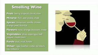 Wine Basics from My Wine Smarts [upl. by Ogeid998]