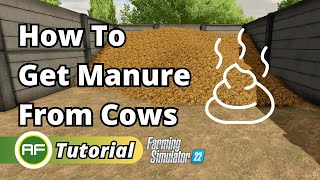 How To Get Manure From Cows In Farming Simulator 22 [upl. by Nahrut]