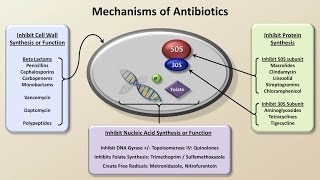 Mechanisms and Classification of Antibiotics Antibiotics  Lecture 3 [upl. by Pich83]