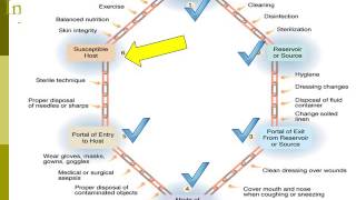 Asepsis and Chain of Infection 29 recorded [upl. by Cirdet]