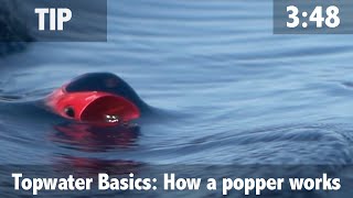 Topwater Basics How a Popper Works [upl. by Ylle]