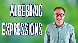 Algebraic Expressions Basics [upl. by Albric]