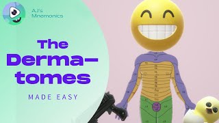 How to Easily Memorize the Dermatomes [upl. by Navinod]