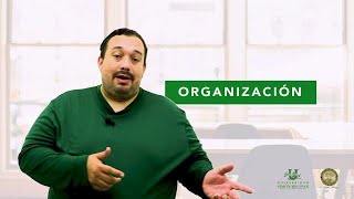 Que es una Organización [upl. by Aaronson]