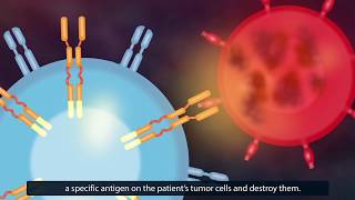 CAR TCell Therapy How Does It Work [upl. by Zeba]