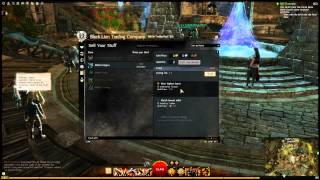 Guild Wars 2  The Black Lion Trading Company And You Interface  Details Guide [upl. by Noonan486]