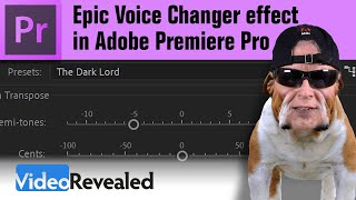 Epic Voice Changer Effect in Adobe Premiere Pro [upl. by Annod817]