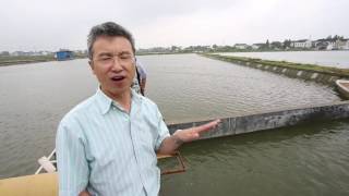 AN AQUACULTURAL REVOLUTION IN CHINA [upl. by Ppilihp730]