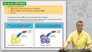 112 EL SISTEMA DE COMPLEMENTO Y SUS RECEPTORES [upl. by Harsho]