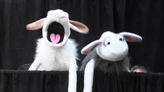 Baa Were Lambs  Puppet Parody Barbara Ann The Beach Boys [upl. by Bryn]