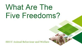 Higher Biology  What Are The Five Freedoms [upl. by Haney]