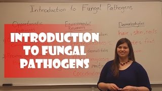 Introduction to Fungal Pathogens [upl. by Ynattirb419]