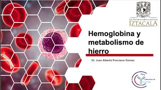 Eritropoyesis y metabolismo de hierro [upl. by Alliuqa490]