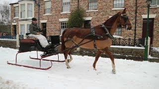 A HorseDrawn Sleigh Ride [upl. by Radnaskela]