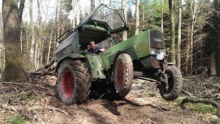 Waldarbeit  Vom Holz zum Brennholz [upl. by Ahtoelc554]