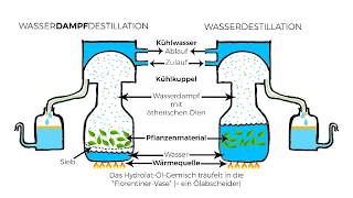 Destillation ätherischer Öle [upl. by Aniger931]