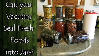 Can You Vacuum Seal Fresh Foods into Jars [upl. by Frechette]