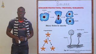 2 Classification II Kingdom Protoctista Protozoa and Algae Biology Form 3 [upl. by Janenna]