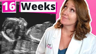 16 Weeks What to Expect  16 week Ultrasound [upl. by Wagshul]