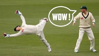 Best Wicket Keeper Catches Ever in Cricket History [upl. by Hook]