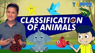 Classification of Animals  Class 1 to 5 [upl. by Daphene]