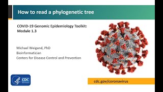 Module 13  How to read a phylogenetic tree [upl. by Ailil]