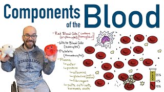 Components of Blood [upl. by Norab432]