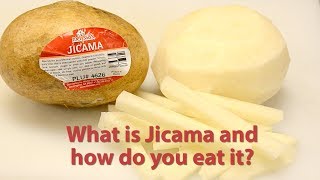 Jicama [upl. by Ennylcaj]