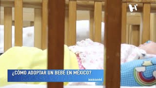 Adopción en México un proceso largo y costoso [upl. by Ennaeerb]