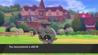 Wild Marshadow in Pokemon Sword and Shield [upl. by Samaria]