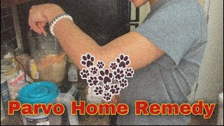 Treating Parvo in Dogs  Parvovirus All Natural Home Remedy  Lana Yazmeen [upl. by Chantalle]